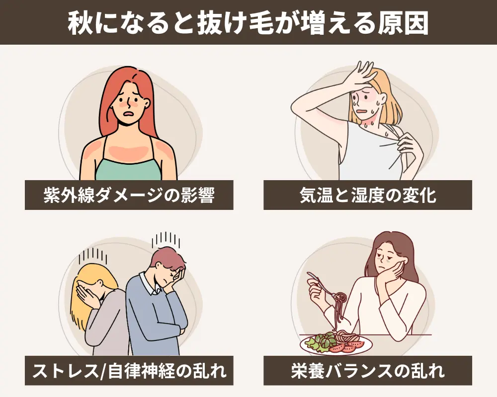 秋になると抜け毛が増える原因