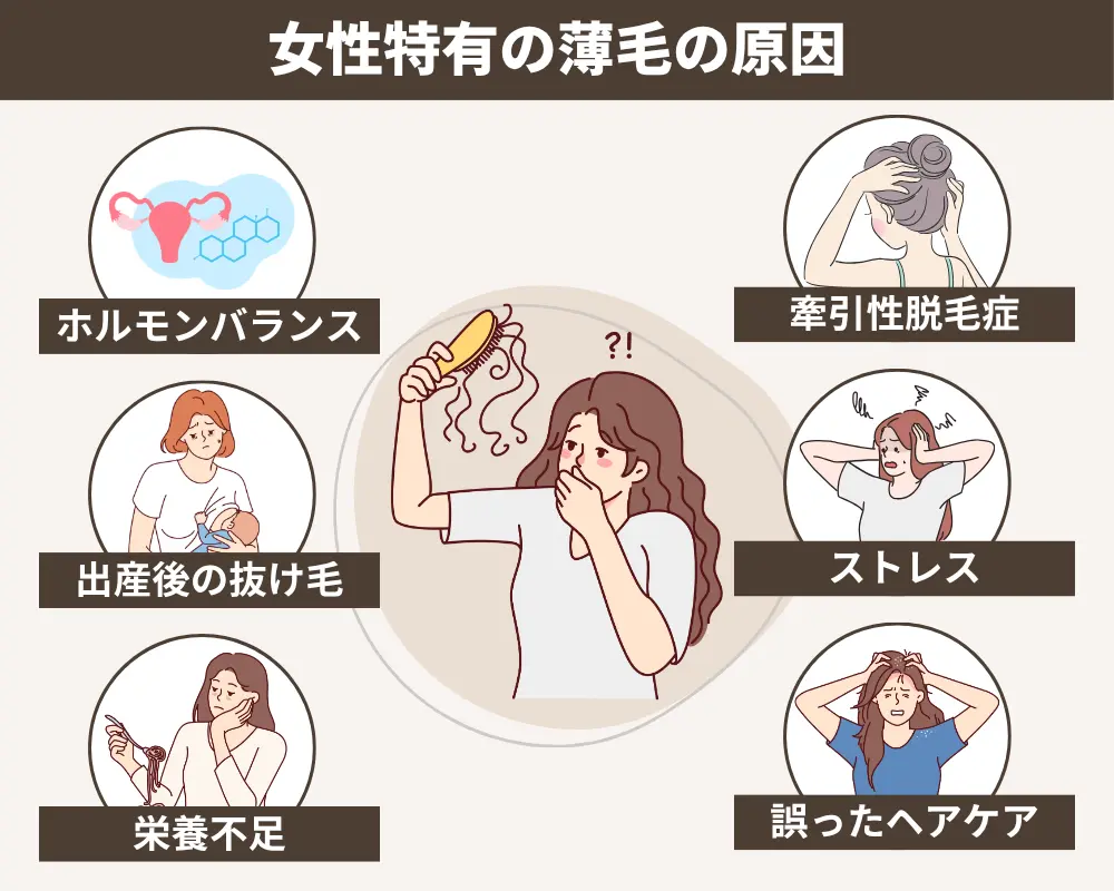 女性特有の薄毛の原因