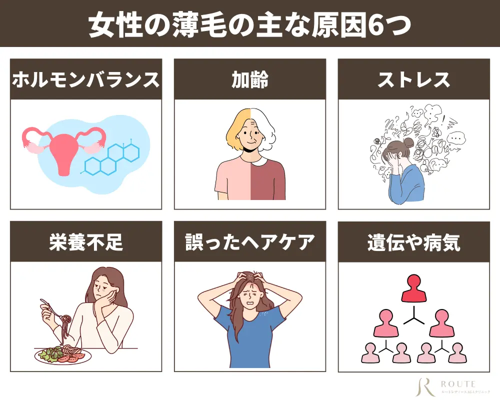 女性の薄毛の主な原因6つ