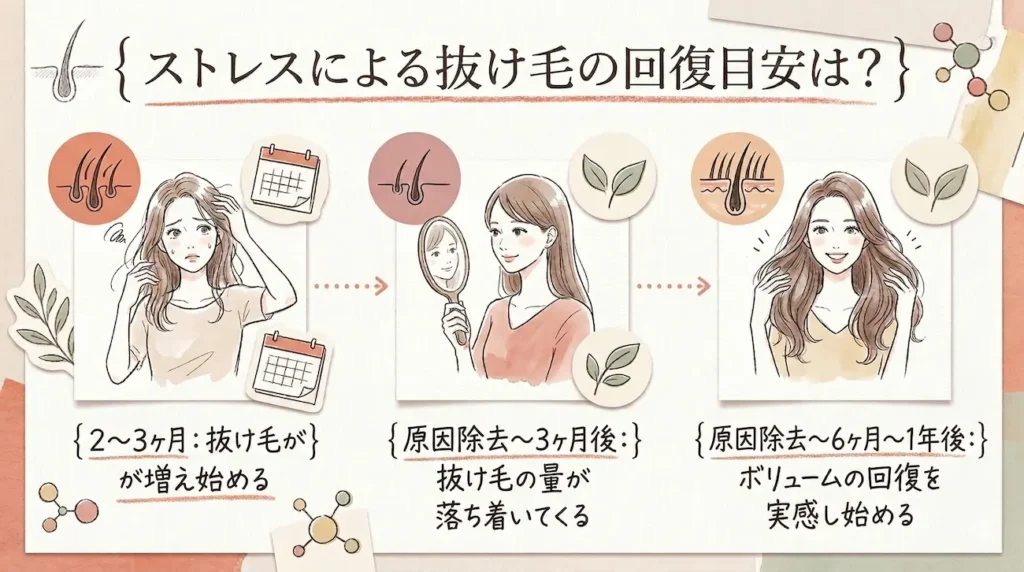 ストレスによる抜け毛の回復目安